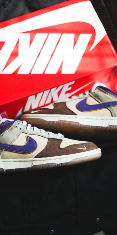 Stylish Nike Dunk Low Setsubun sneakers displayed with iconic red shoe box.